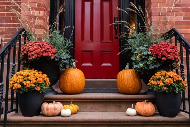 Plantas Halloween en puerta de entrada