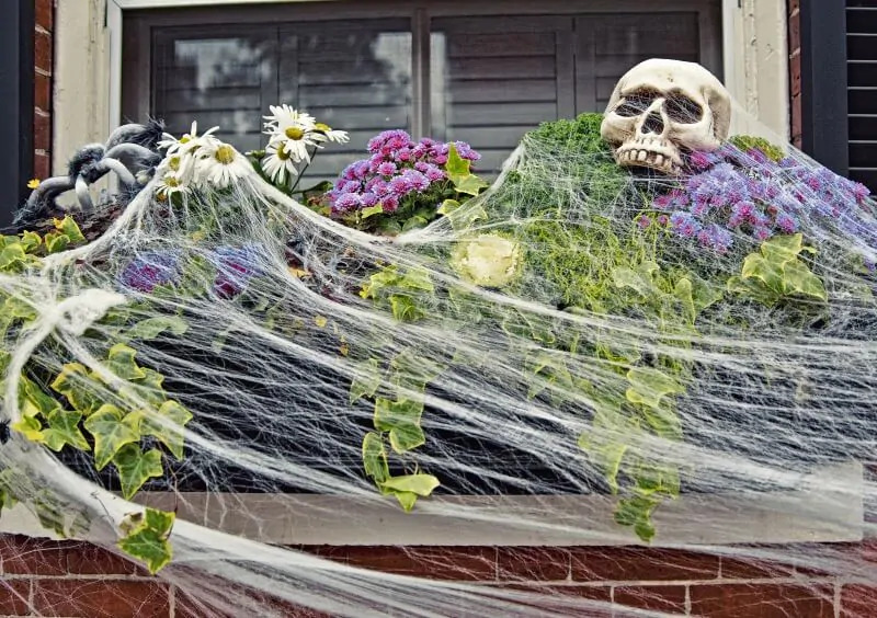 Telarañas Halloween en maceta plantas