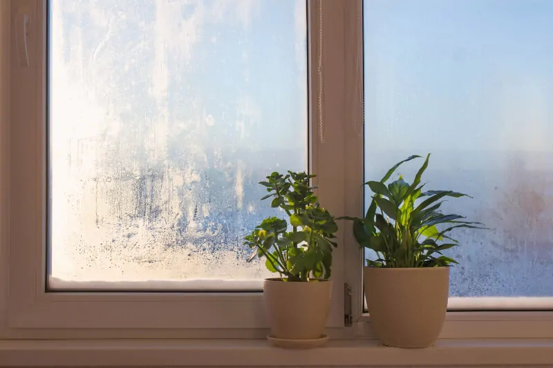 Ventanas con condensación